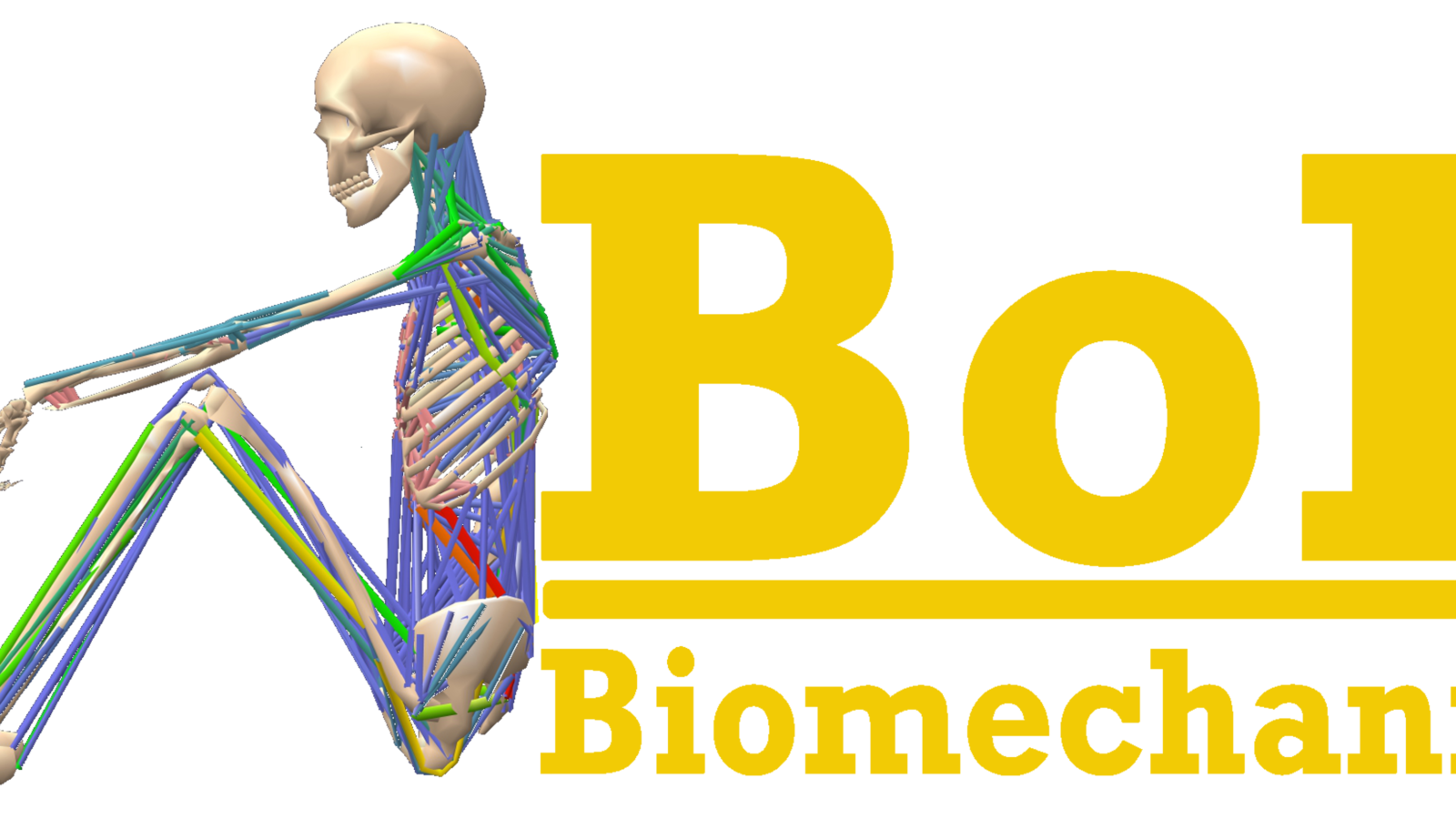 BoB Biomechanics logo